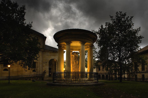 File:Arbol viejo noche.jpg