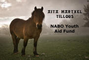 Aita Tillous Youth Fund