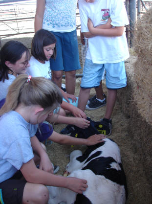 dairy visit