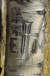 carving