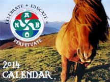 2013 NABO Calendar